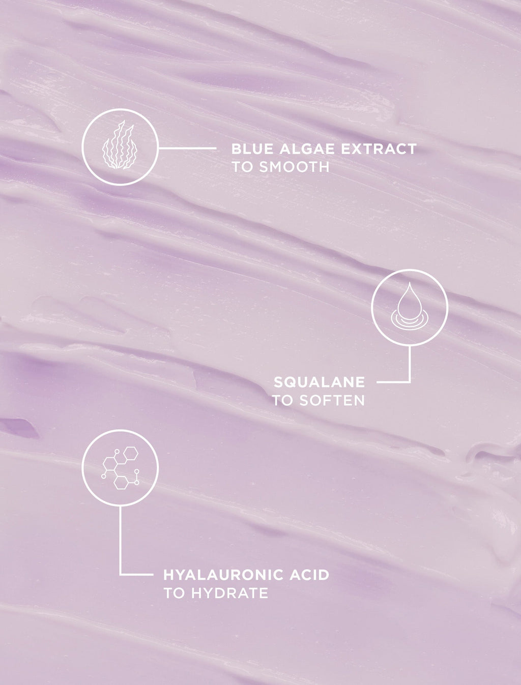 Sweet Dreams Night Moisturizer