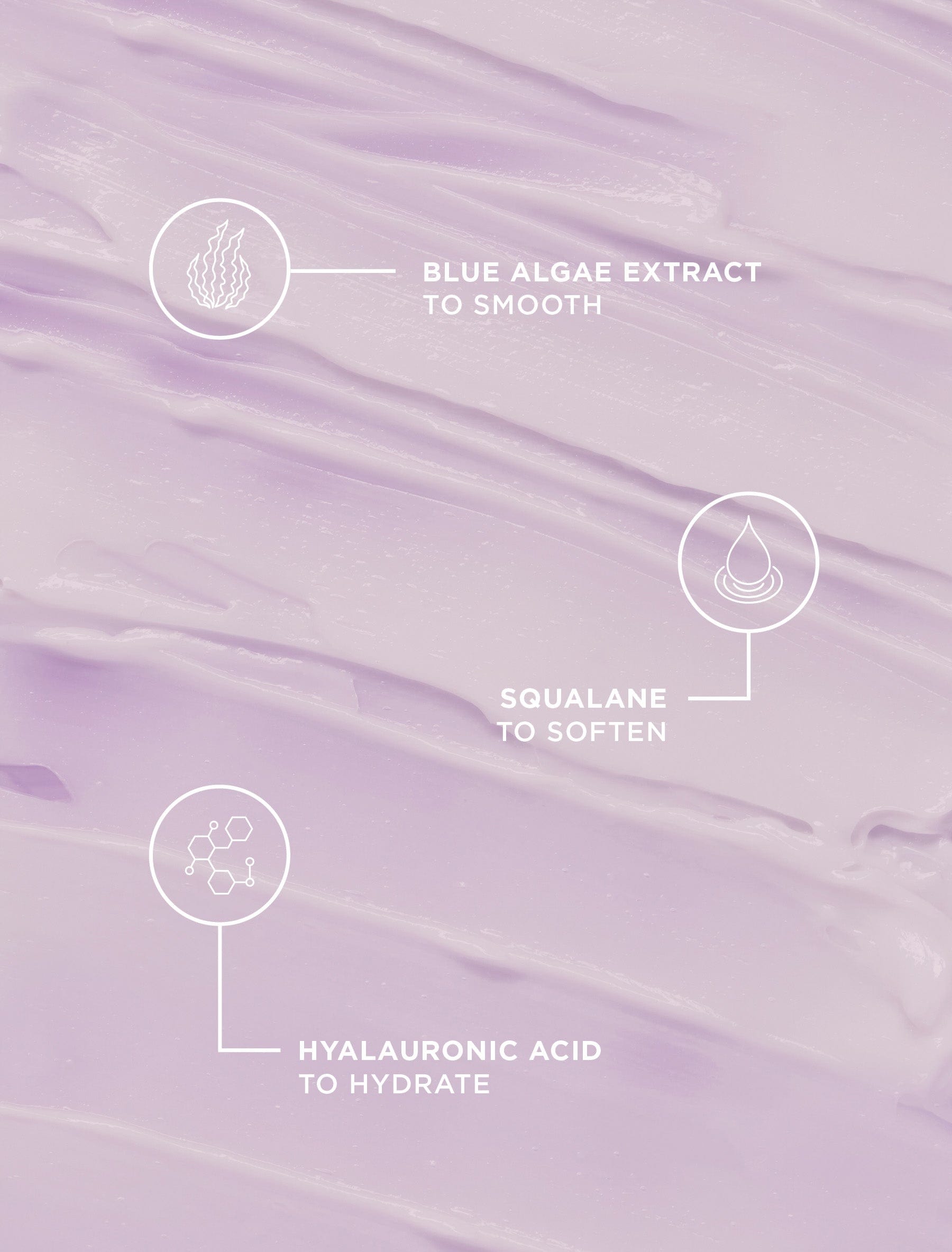 Sweet Dreams Night Moisturizer